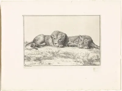 Landschap met twee leeuwen