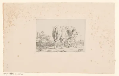 Landschap met twee runderen