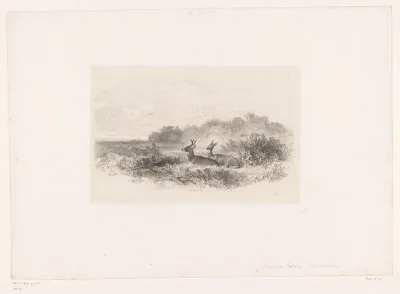Landschap met twee witstaartherten