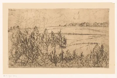 Landschap met velden en bomen
