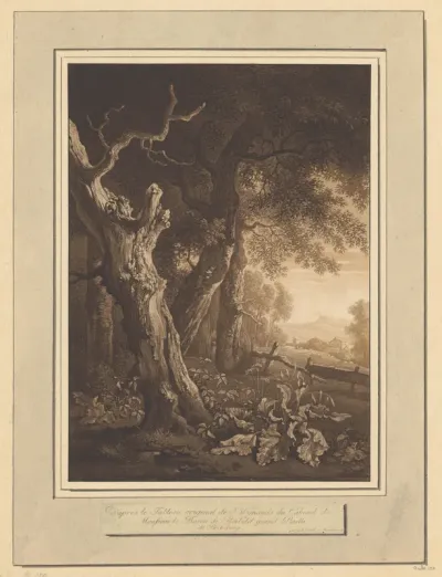 Landschap met verdorde eik aan de bosrand