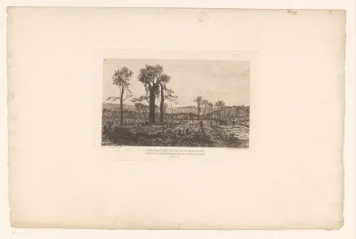Landschap met vernield bos