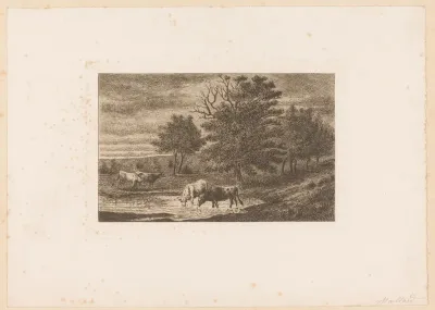 Landschap met vier koeien