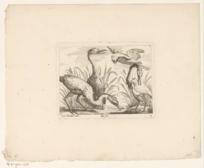 Landschap met vier reigers