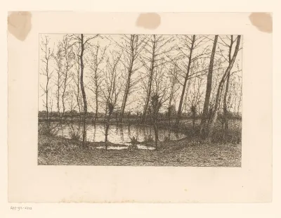 Landschap met vijver omringd door bomen