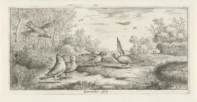Landschap met vlaamse gaaien