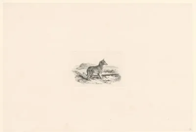 Landschap met waakhond