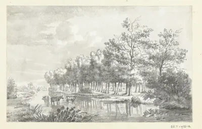 Landschap met wadende koeien