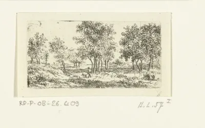 Landschap met wandelaar en hond