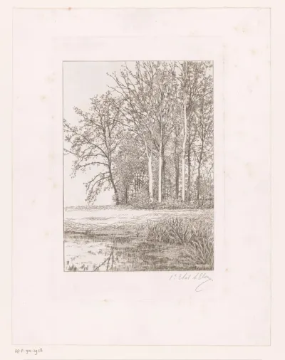 Landschap met water en bomen