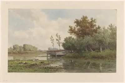 Landschap met water en eenden