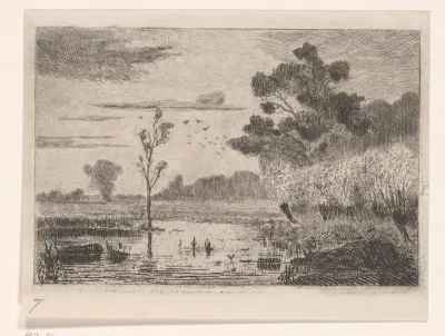 Landschap met water en knotwilgen bij Noord Deurningen