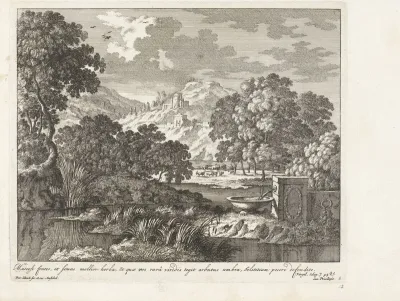 Landschap met water en riet