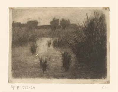 Landschap met water en riet