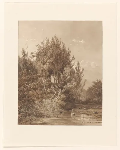 Landschap met water met eenden