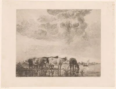 Landschap met waterende koeien