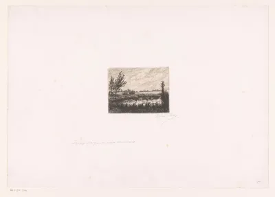 Landschap met waterplas
