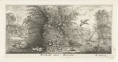 Landschap met watersnip
