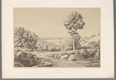 Landschap met weg