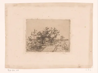 Landschap met weg en bomen