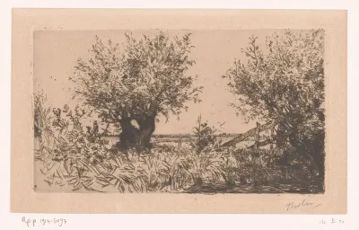 Landschap met weiland, knotwilgen en hek