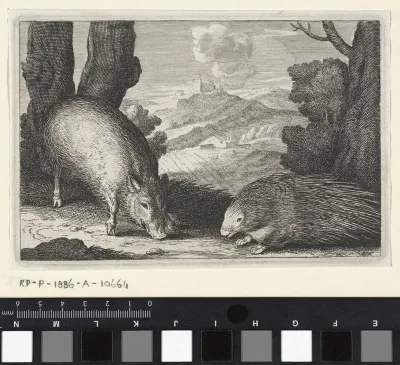 Landschap met wild zwijn en stekelvarken