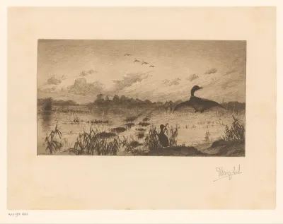 Landschap met wilde eenden bij avond