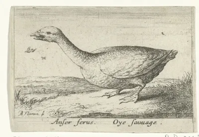 Landschap met wilde gans