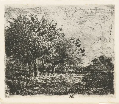 Landschap met wilgen