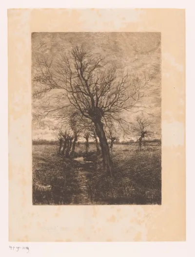 Landschap met wilgen aan een beek