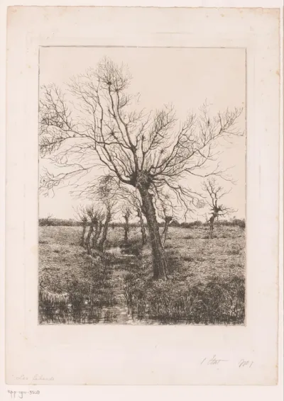 Landschap met wilgen aan een beek