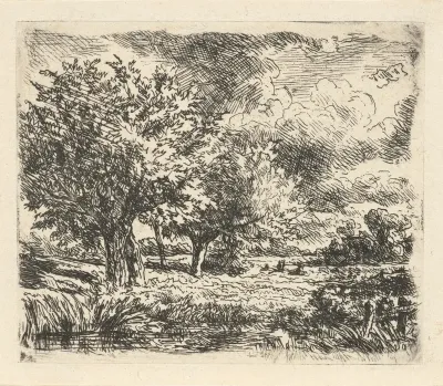 Landschap met wilgen