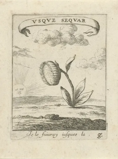 Landschap met zonnebloem