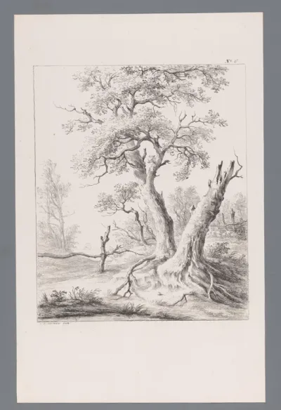 Landschap studien naar de natuur getekend en op steen gebracht door C.L. Hansen
