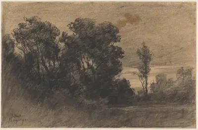 Landschap te Borger