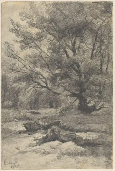 Landschap te Delden
