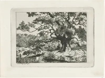 Landschap te Wolfheze