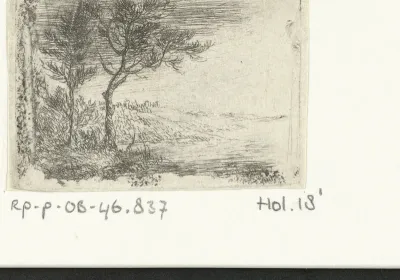 Landschap twee bomen