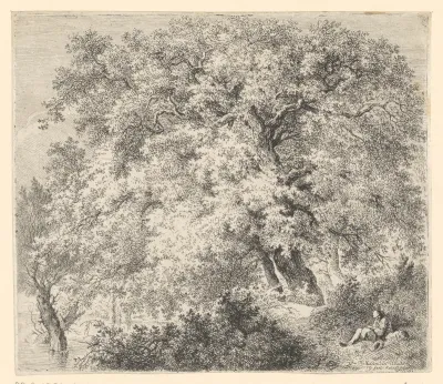 Landschap uit het Neckarauer Woud