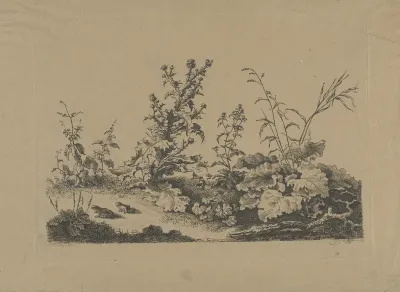 Landschapsstudie met distels en kikkers