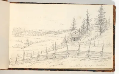 Landskab med marker og skov