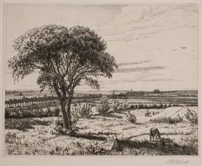 Landskab ved Roskilde Landevej