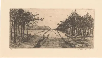 Landweg bij bosrand