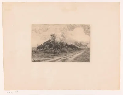 Landweg langs een groep bomen