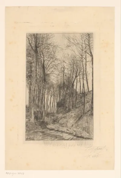 Landweg langs heuvels met bomen