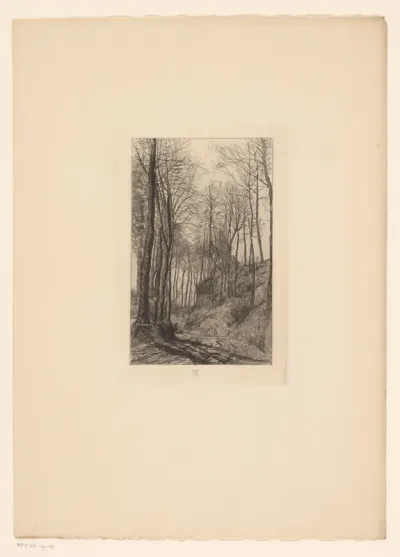 Landweg langs heuvels met bomen