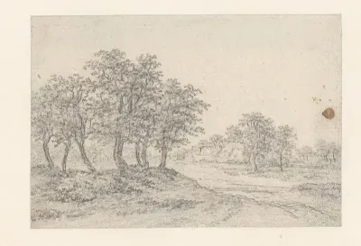 Landweg met boerderij in het verschiet