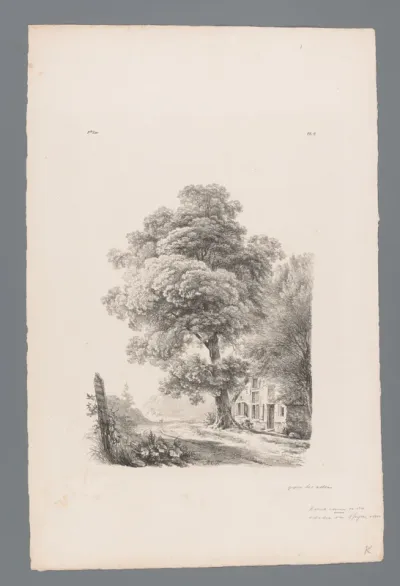 Landweg met boom en boerderij
