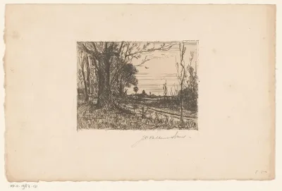 Landweg met hoog geboomte