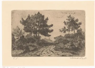 Landweg met struikgewas